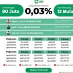 PINJAMAN ONLINE DENGAN BUNGA RENDAH 0,3%